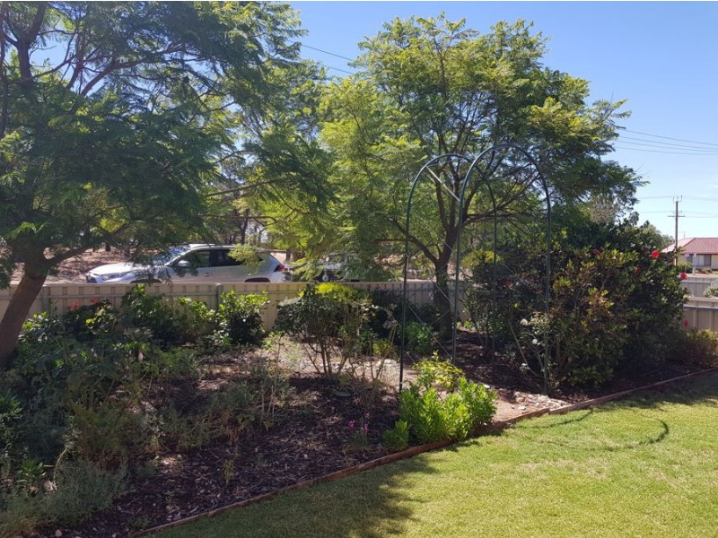 37 Waratah Avenue, Murray Bridge SA 5253