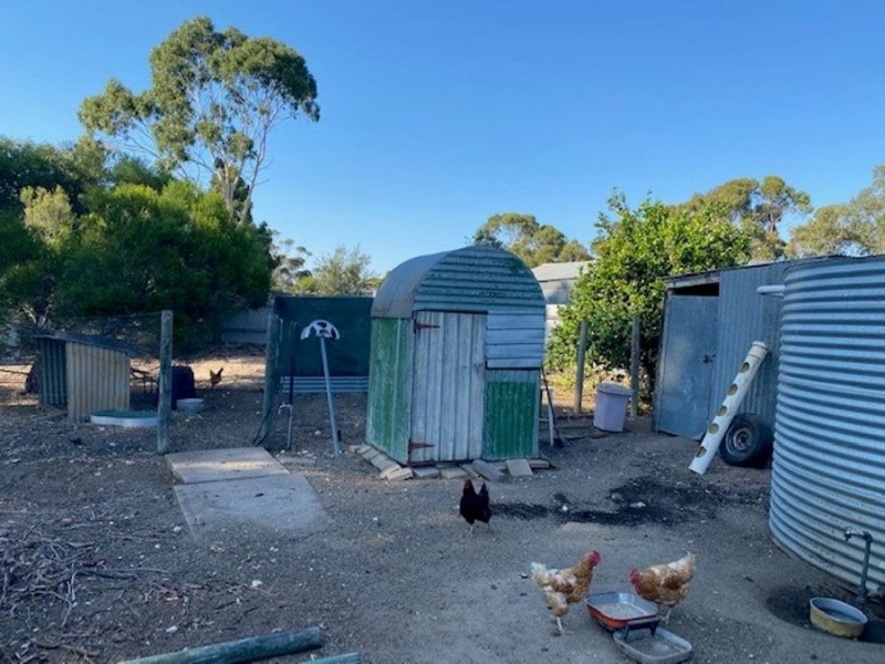 24 Hawke Road, Murray Bridge SA 5253