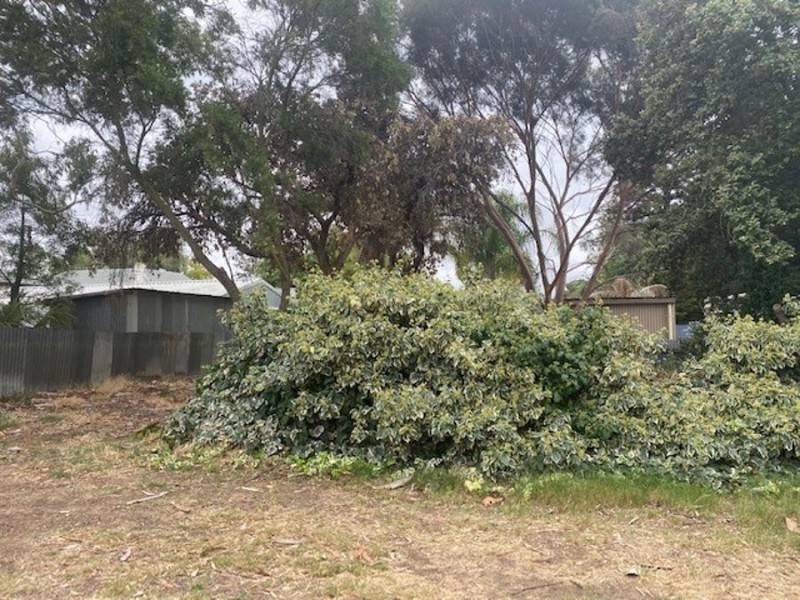 7 Charles, Murray Bridge SA 5253