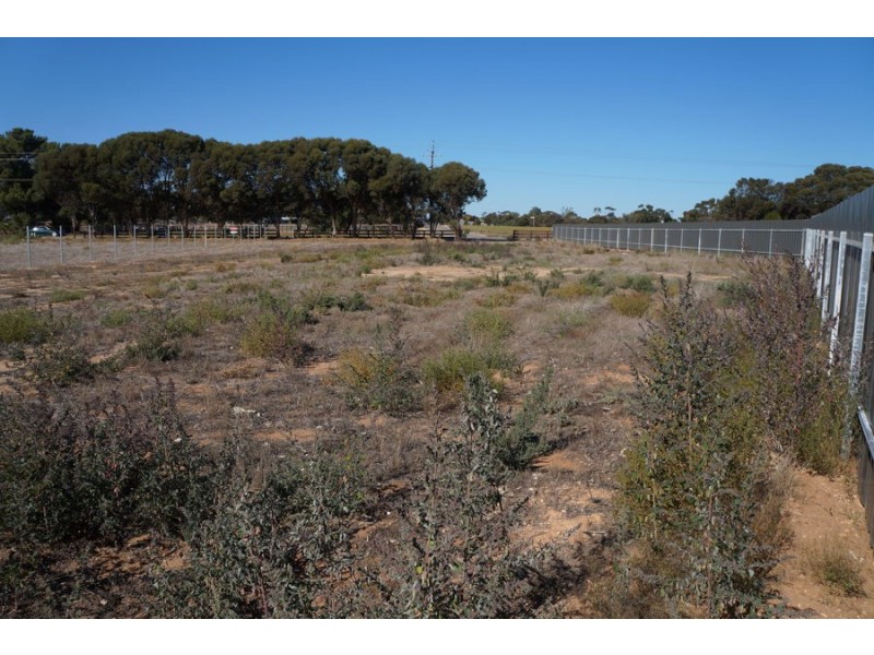 29A Prosperity Grove, Murray Bridge SA 5253