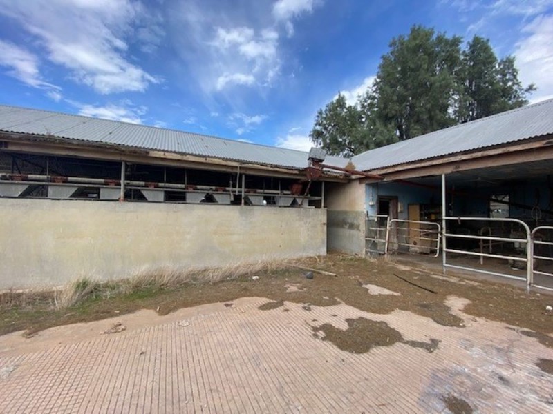 2794 Jervois Road, Jervois SA 5259