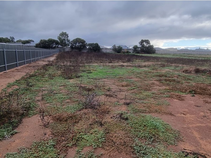 29C Prosperity Grove, Murray Bridge SA 5253