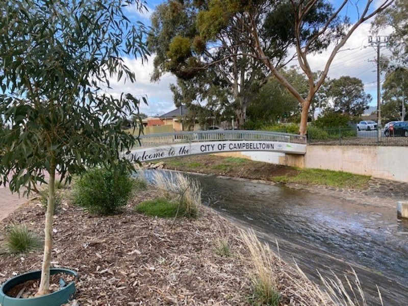 57 Hancock Avenue, Campbelltown SA 5074