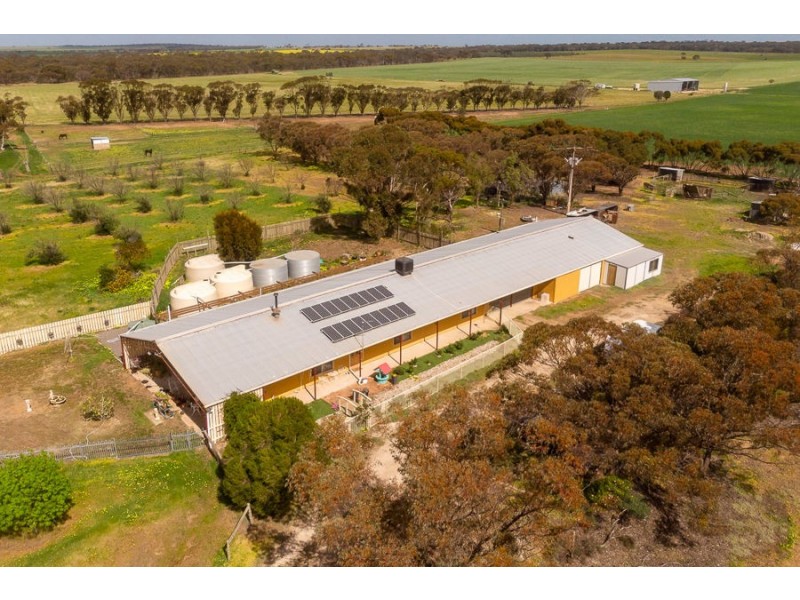 503 Thomas Crescent, Monarto South SA 5254