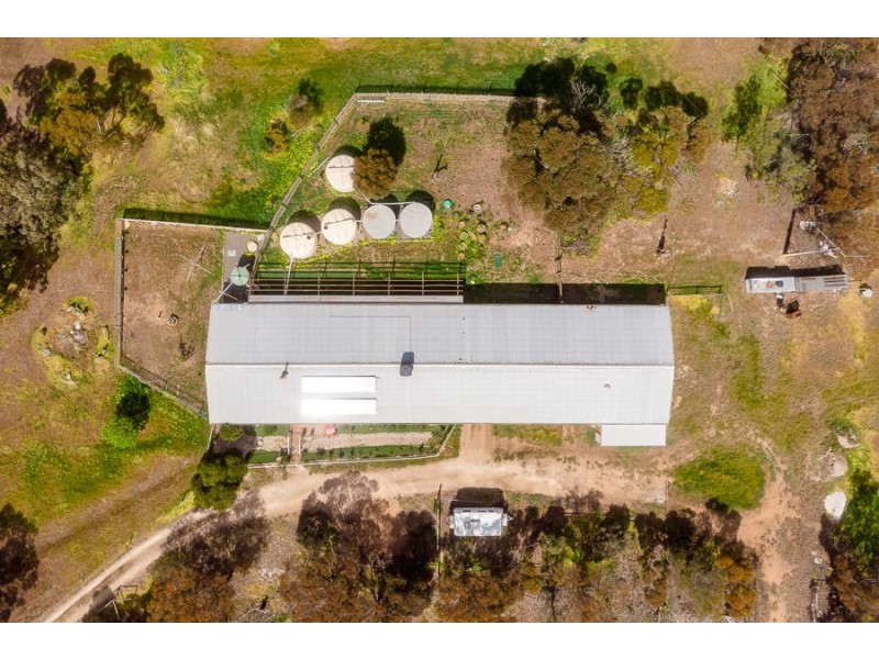 503 Thomas Crescent, Monarto South SA 5254