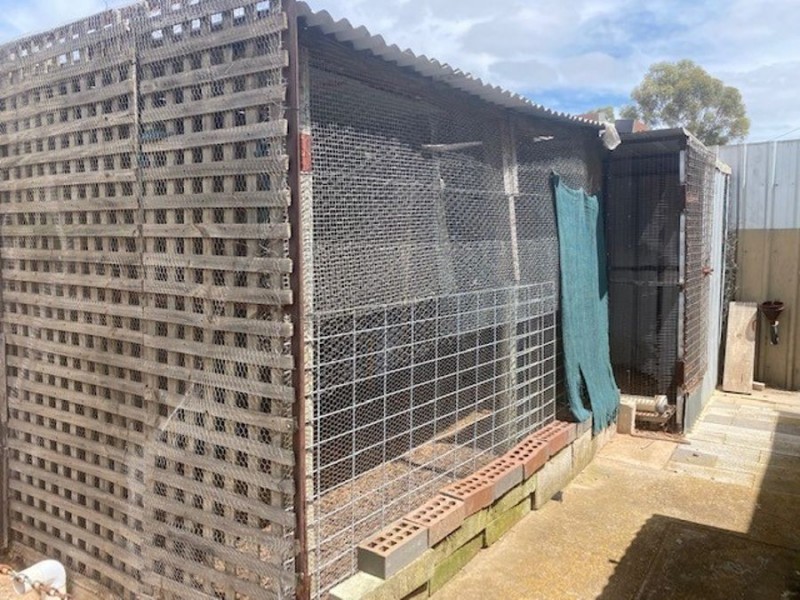 41 Waratah Avenue, Murray Bridge SA 5253