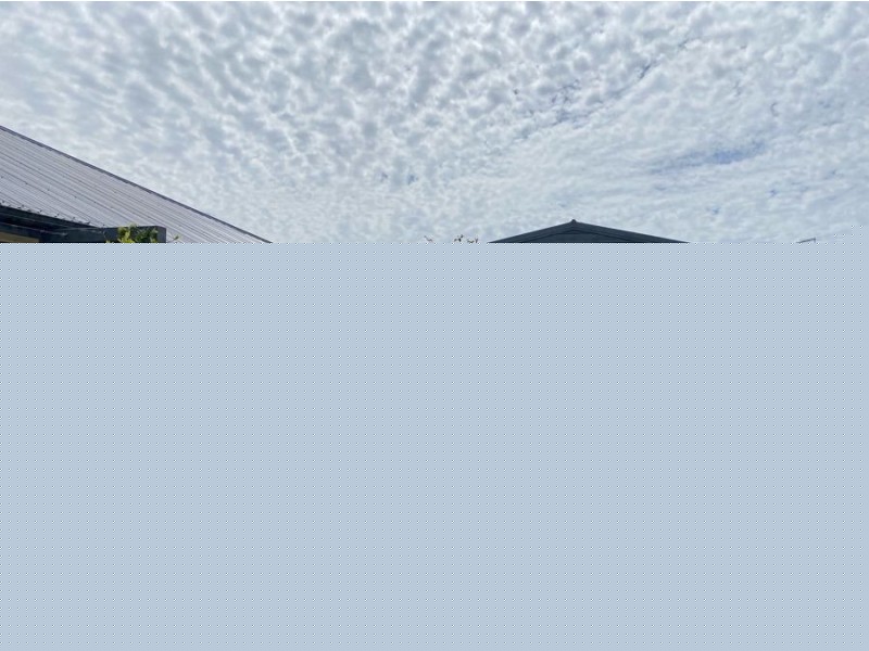 5 McQuarrie Street, Murray Bridge SA 5253