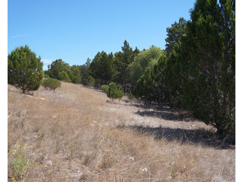 66 Kuchel Road, Murray Bridge SA 5253