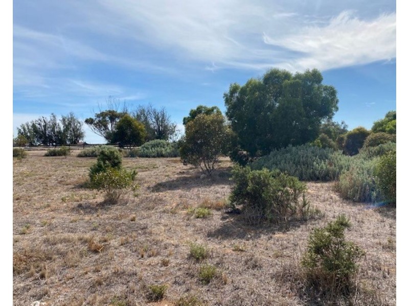 Sec 918 Jervois Road, Woods Point SA 5253