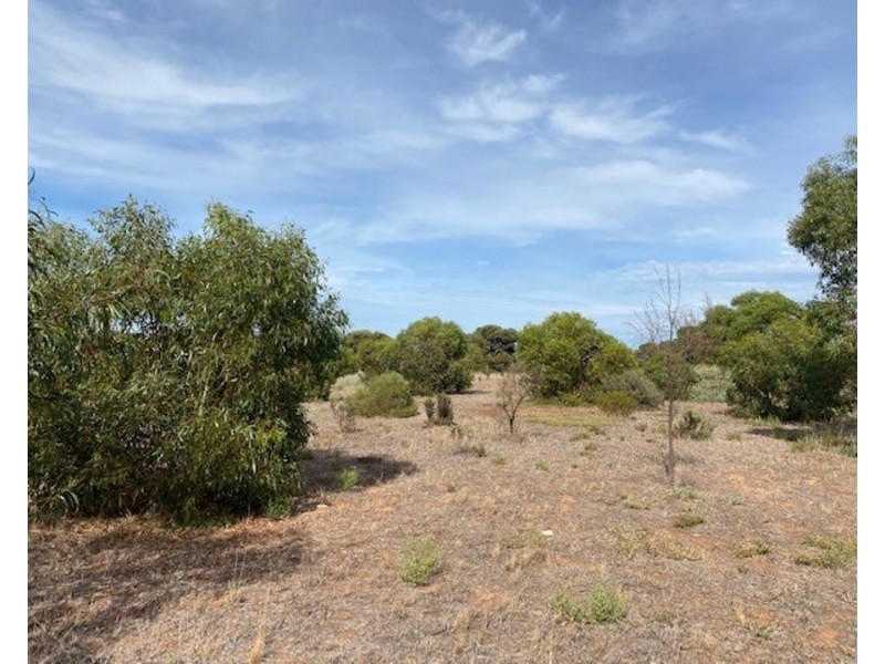 Sec 918 Jervois Road, Woods Point SA 5253
