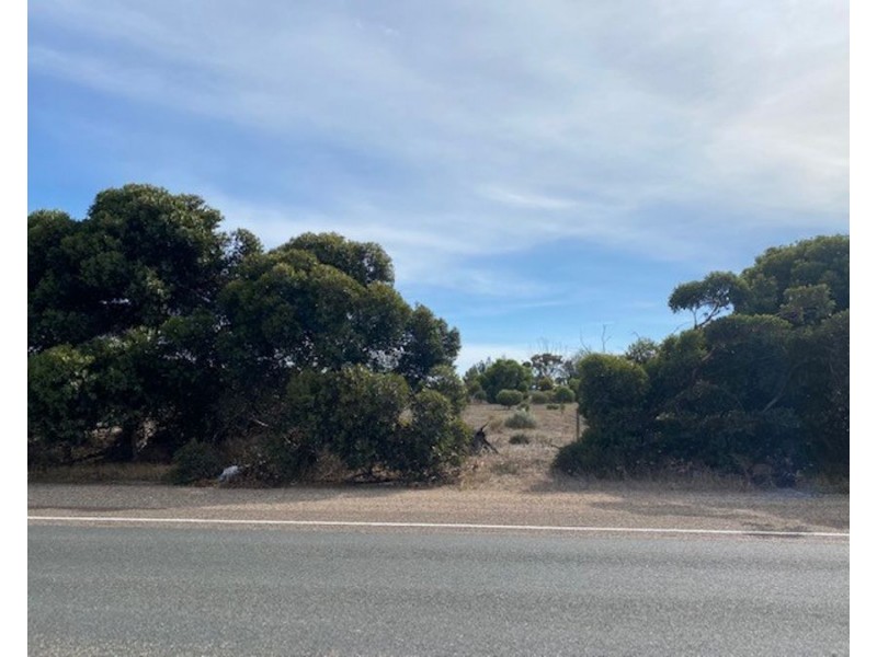 Sec 918 Jervois Road, Woods Point SA 5253