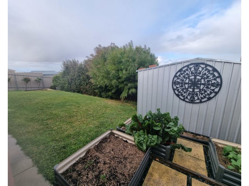 38 Waterlily Terrace, Murray Bridge SA 5253