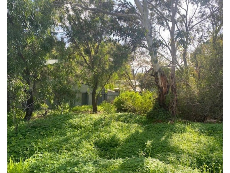 21 McHenry Street, Murray Bridge SA 5253