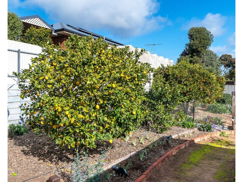 42 Charles Street, Murray Bridge SA 5253