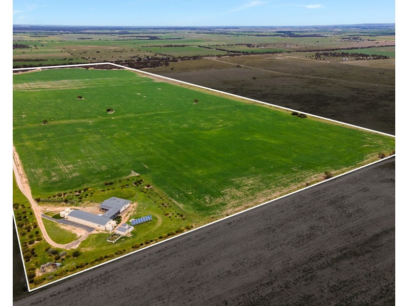 539 Bowhill Road, Murray Bridge East SA 5253
