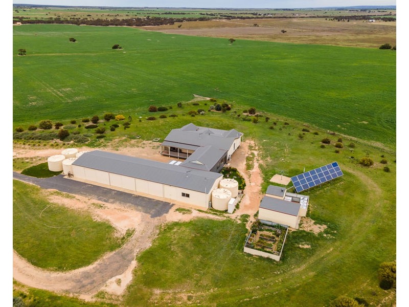 539 Bowhill Road, Murray Bridge East SA 5253