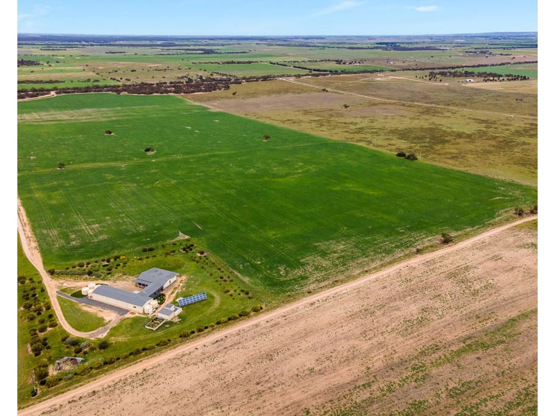539 Bowhill Road, Murray Bridge East SA 5253