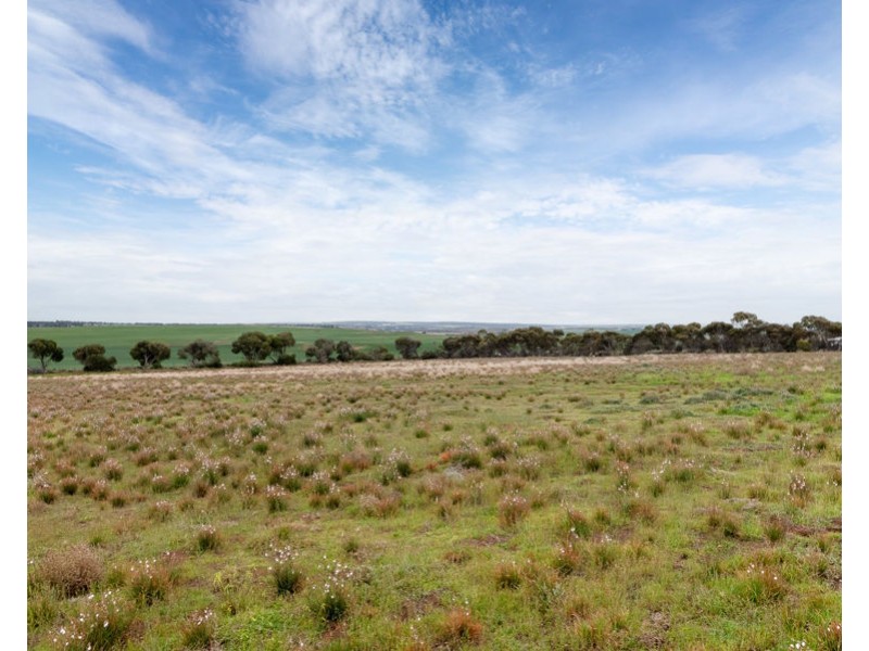 90 Murrawong Road, Sunnyside SA 5253