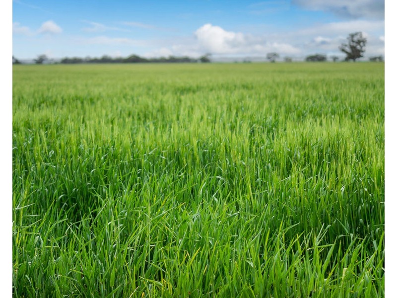 19 Moorlands Road, Moorlands SA 5301