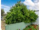 16 Ritter Street, Murray Bridge SA 5253