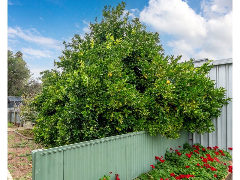 16 Ritter Street, Murray Bridge SA 5253