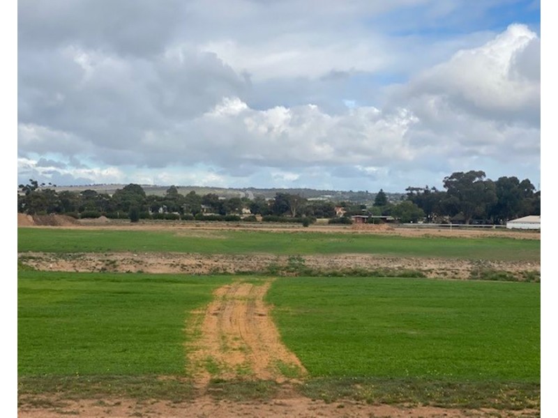 5 Newbridge, Murray Bridge SA 5253