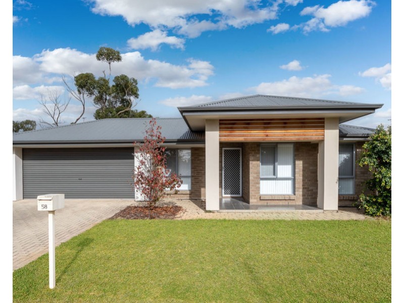 58 Industry Road, Murray Bridge SA 5253