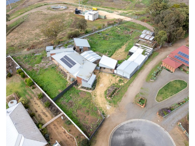 11 Redgum Court, Murray Bridge SA 5253