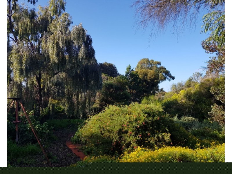 70 Standen Street, Murray Bridge SA 5253
