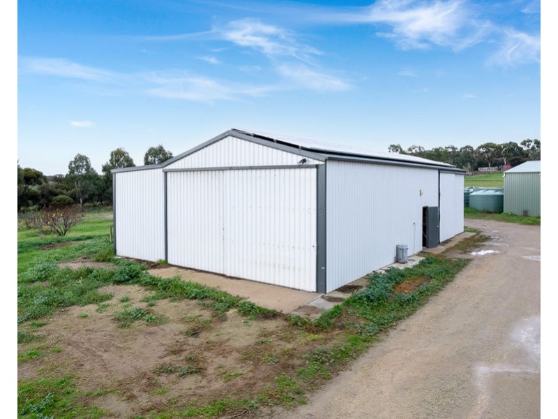 9 Schwerdt Road, Murray Bridge SA 5253