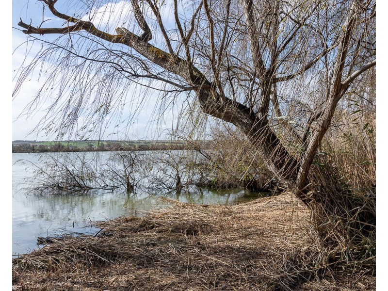 1154 Jervois Road, White Sands SA 5253