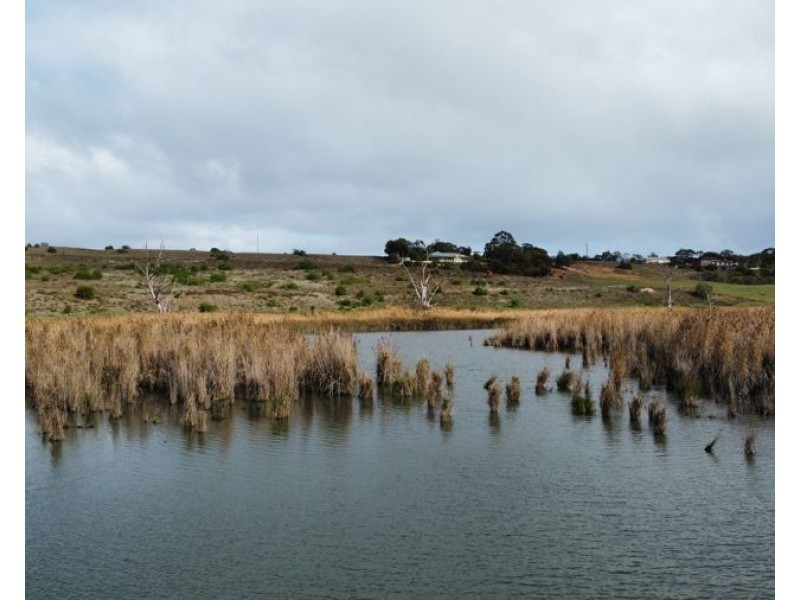 1154 Jervois Road, White Sands SA 5253