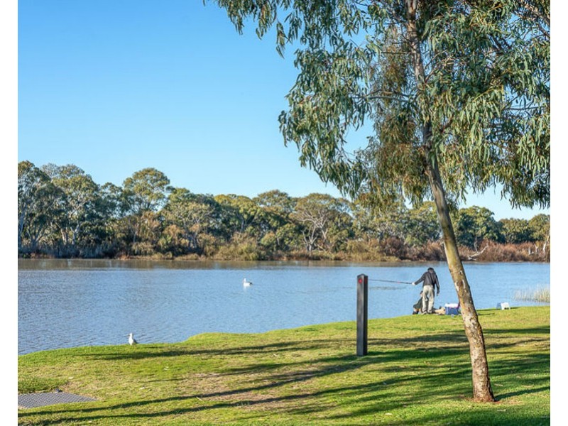 57 Melaleuca Way, Murray Bridge SA 5253