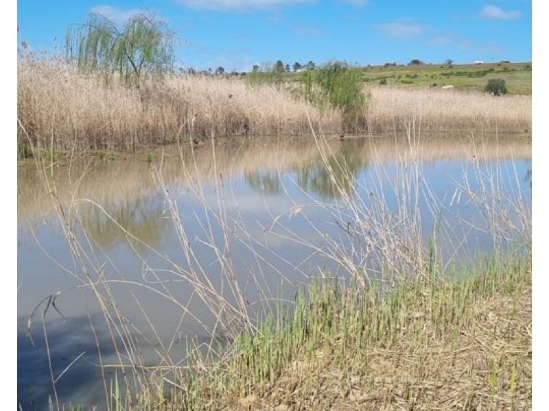 Lot 10 Jervois Road, Murray Bridge SA 5253