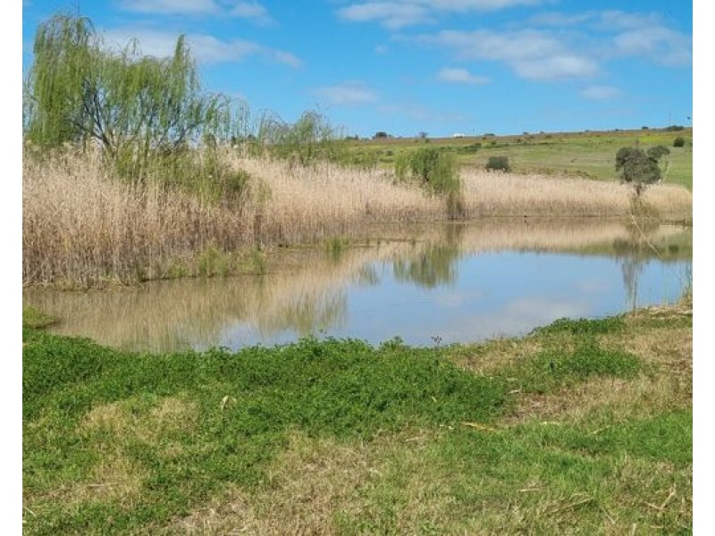 Lot 10 Jervois Road, Murray Bridge SA 5253