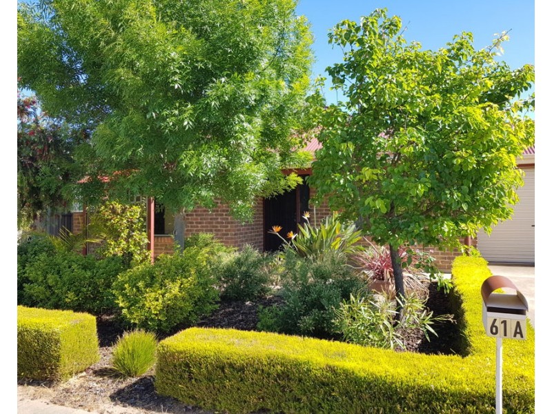 61A Christian Road, Murray Bridge SA 5253