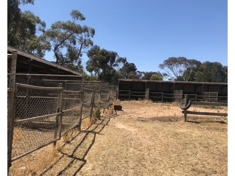 200 Mannum Road, Murray Bridge SA 5253