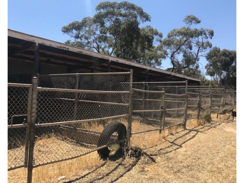 200 Mannum Road, Murray Bridge SA 5253