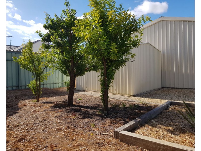 17 Stableford Court, Murray Bridge SA 5253
