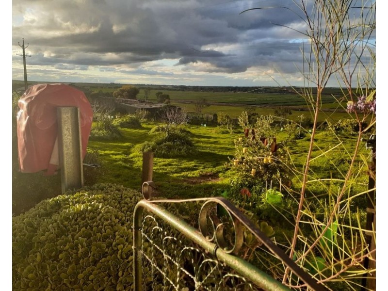 1881 Jervois Road, Woods Point SA 5253