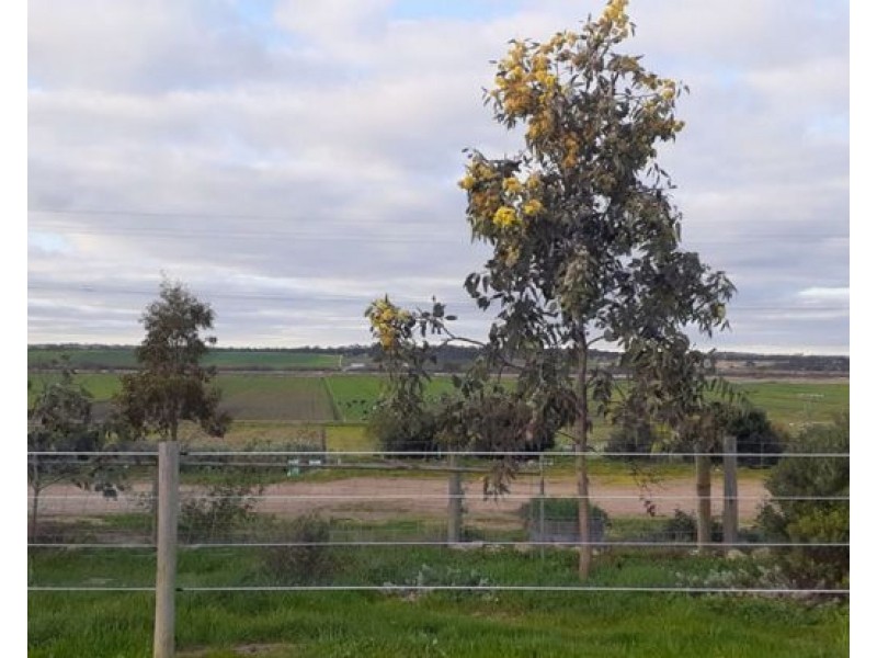 1881 Jervois Road, Woods Point SA 5253