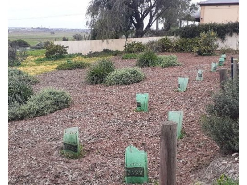 1881 Jervois Road, Woods Point SA 5253