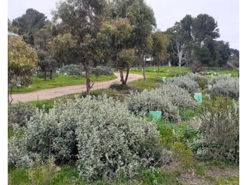 1881 Jervois Road, Woods Point SA 5253