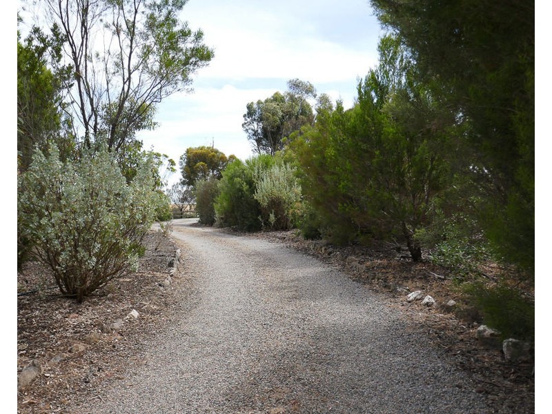 57 Carter Road, Murray Bridge SA 5253