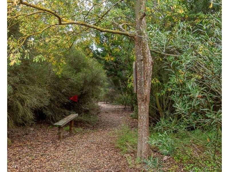 57 Carter Road, Murray Bridge SA 5253