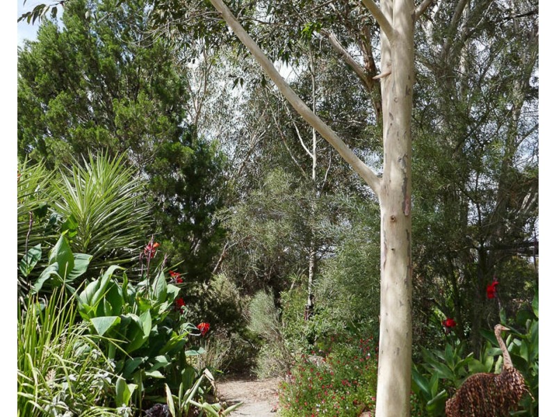 57 Carter Road, Murray Bridge SA 5253