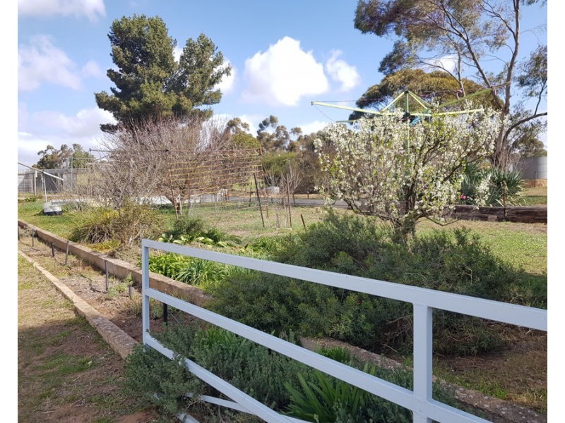 31 & 33 Doyle Road (Northern Heights), Murray Bridge SA 5253