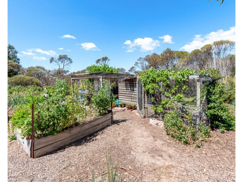 4156 Old Princes Highway (White Hill), Murray Bridge SA 5253