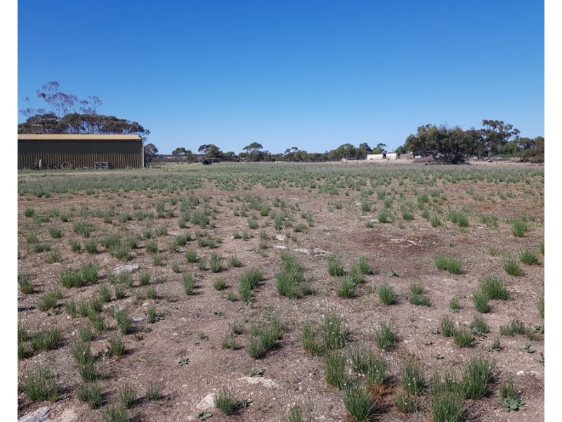 2527 Mannum Road, Murray Bridge SA 5253