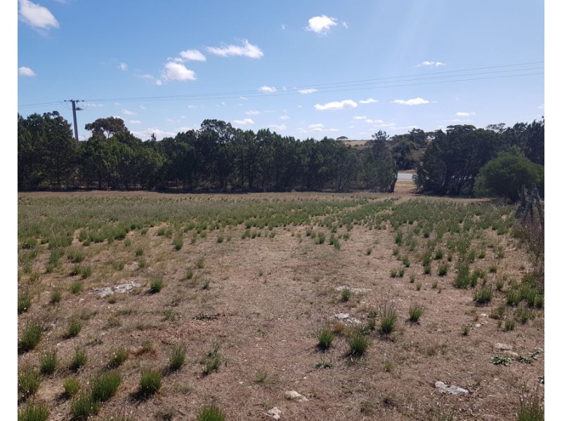 2527 Mannum Road, Murray Bridge SA 5253